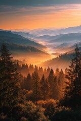 Obraz premium Majestic Misty Mountain Valley Sunrise with Golden Hues and Silhouetted Pines.
