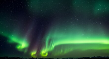 Naklejka premium Vibrant aurora borealis display in the night sky with dynamic green hues