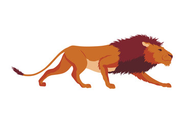 Proud powerful lion character. King of animal. Cartoon cute wild cat is running. Isolated vector Illustrations on a white background