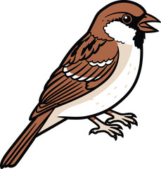 A detailed illustration of a small brown and white bird with its beak open chirping isolated on white background