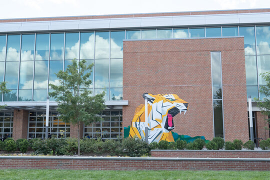 Baltimore, Maryland US - August 29, 2025: a tiger painted onto the brick exterior wall of the Student University Union building on the campus of Towson University 