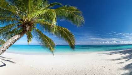 Panoramic Tropical Beach With Coconut Palm