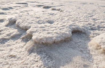 Close-up of naturally crystallized salt on the ground at the shore of a salt lake.