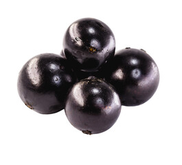 Jaboticaba or jabuticaba is a purplish black-white fruit that can be eaten raw or used to make jams, juices, liqueur or wine. Typical Brazil fruit on white isolated background.