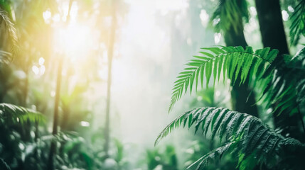 Golden sunlight piercing through misty tropical ferns in serene, vibrant green forest landscape, creating tranquil natural backdrop