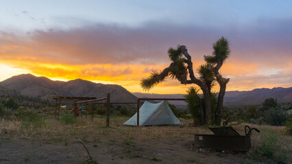 Rocky mountain peaks with trees under a blue sky and scattered clouds on a sunny day landscape view
