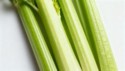 Obraz premium Minimalist close-up of fresh celery stalks on white background