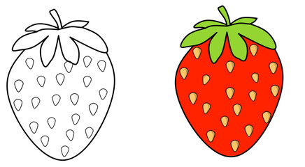 strawberry fruits hand draw vector illustration