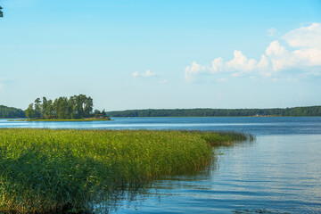 Peaceful lakeshore with reeds and distant island under blue sky