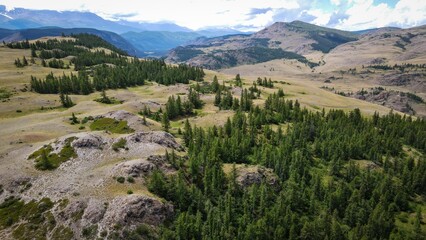 Aerial landscape of taiga forest and mountains, Altai, Russia