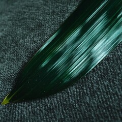 A leaf is shown on a grey surface. The leaf is green and has a long, thin shape. Concept of calmness and tranquility, as the leaf is a symbol of nature and growth