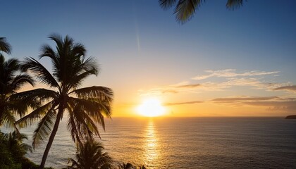 Tropical Palm Trees Overlooking Ocean Sunrise