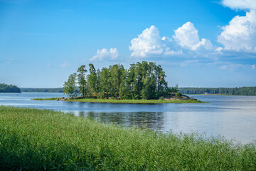 Peaceful lakeshore with reeds and distant island under blue sky