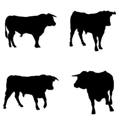 toros