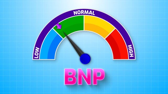4K Animated BNP (B-type Natriuretic Peptide) Level Meter Increasing from Low to High Levels , Monitoring Heart Failure and Cardiac Stress