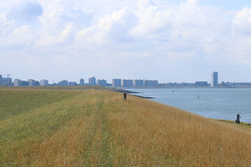the skyline of port city Terneuzen along the westerschelde sea with the big seawall in front