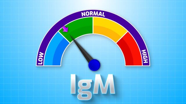 4K Animated IgM Level Meter Increasing from Low to High Levels , Monitoring Acute Infection and Primary Immune Response