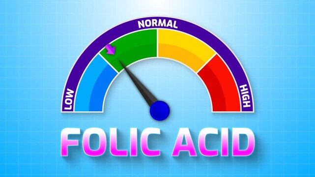 4K Animated Folic Acid Level Meter Increasing from Low to High Levels , Assessing Vitamin B9 for Anemia Prevention and Cellular Health
