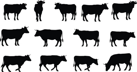 Cow silhouette collection, vector farm animal poses, walking, standing, grazing cattle, black cow shapes for agriculture, design, print, and branding use