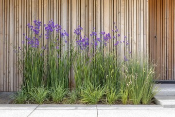 Colorful purple flowers bloom alongside tall green grasses at a modern building, creating a vibrant landscape during a sunny day
