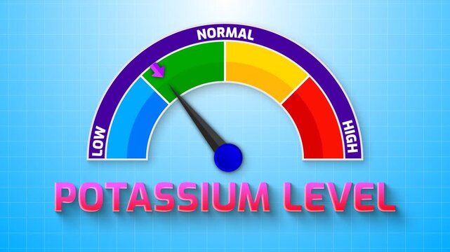 4K Animated Potassium Level Meter Increasing from Low to High Levels , Monitoring Electrolyte Balance and Heart Rhythm
