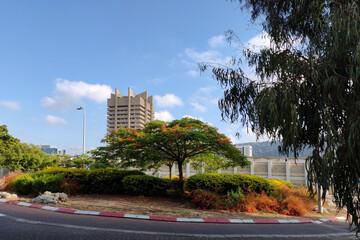 Haifa, Israel, 12 September 2025 Haifa Cityscape next to the station Bat Galim with Flamboyant Tree