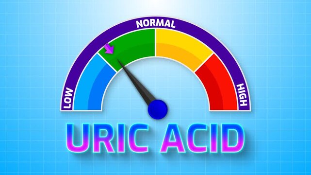 4K Animated Uric Acid Level Meter Increasing from Low to High Levels , Assessing Gout Risk and Renal Function