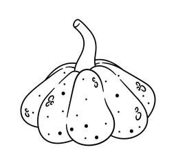 Autumn squash vegetable coloring page