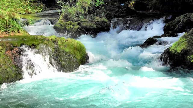 McKenzie River whitewater near Sahlie falls and Clear Lake headwaters in Willamette National Forest, Oregon