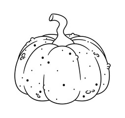 Thanksgiving holiday pumpkin festive vegetable