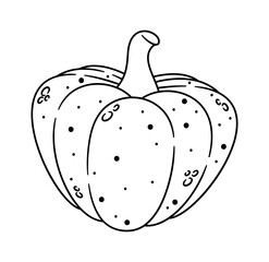 Fall season pumpkin vegetable black-and-white