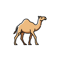 A stylized depiction of a dromedary camel walking with a single hump isolated on white background