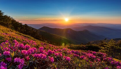Fototapeta premium Blue Ridge Mountains Rhododendron Sunrise