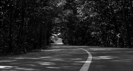 A fragment of a highway in the forest