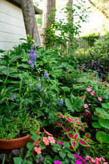 Flowers in the garden
