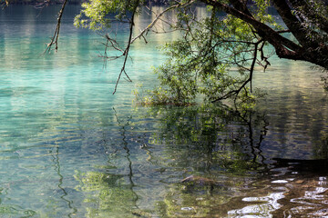 lafo di fusine in estate, tarvisio