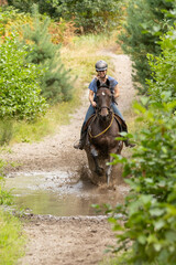 Galoppieren durch das Wasser