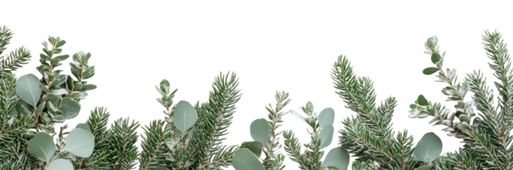 PNG Christmas theme border vegetation decoration minimalist.