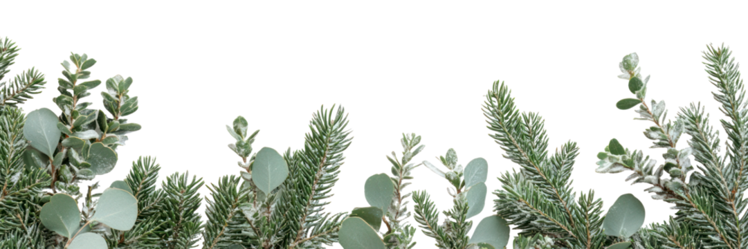 PNG Christmas theme border vegetation decoration minimalist.