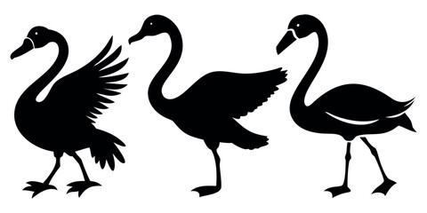 Fototapeta premium Vector Silhouette Set of Birds Duck Swan and Flamingo in Distinct Poses