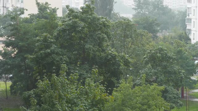 Rainy and windy weather. Green trees are swaying in the wind. Video with sound and rain noise. Rain in the city. One minute relax video with sound, ASMR