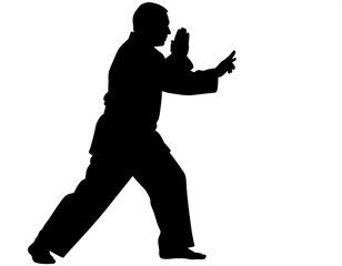 Martial arts silhouette of a person in defensive stance