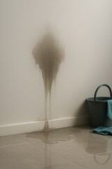 Hyper-realistic image of a wet stain spreading on a wall, depicting the process of addressing water damage
