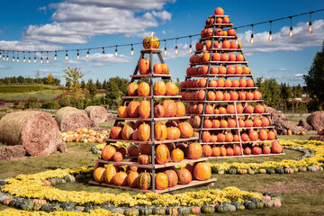 Pumpkin pyramids at the fall fair. Outdoor holiday decorations for Halloween, Thanksgiving and autumn celebrations. Fall harvest festivals in a city park or street.