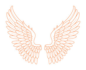 Stylized Orange Outline of Angelic Wings on a White Background
