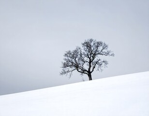 Fototapeta premium A solitary bare tree stands on a snowcovered hill under a pale, overcast sky, evoking a sense of winters stark beauty and isolation