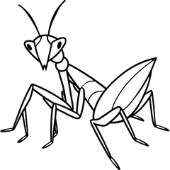 Minimalist illustration of a praying mantis with long legs and antennae in black and white outline style design vector