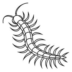 Minimalist illustration of a centipede with many legs and segmented body in black outline on a white background vector
