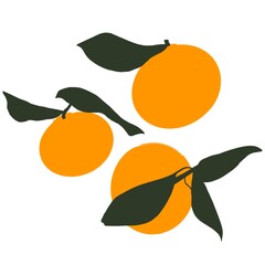 colorful lovely pattern made of tangerines