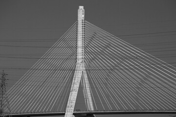 Monochrome view of Flintshire Bridge cable-stayed structure with suspension cables and power lines creating a geometric composition against a clear sky